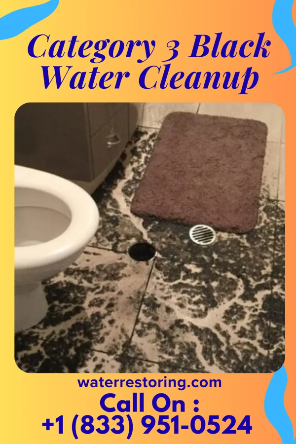 Category 3 Black Water Cleanup in Eudora, KS