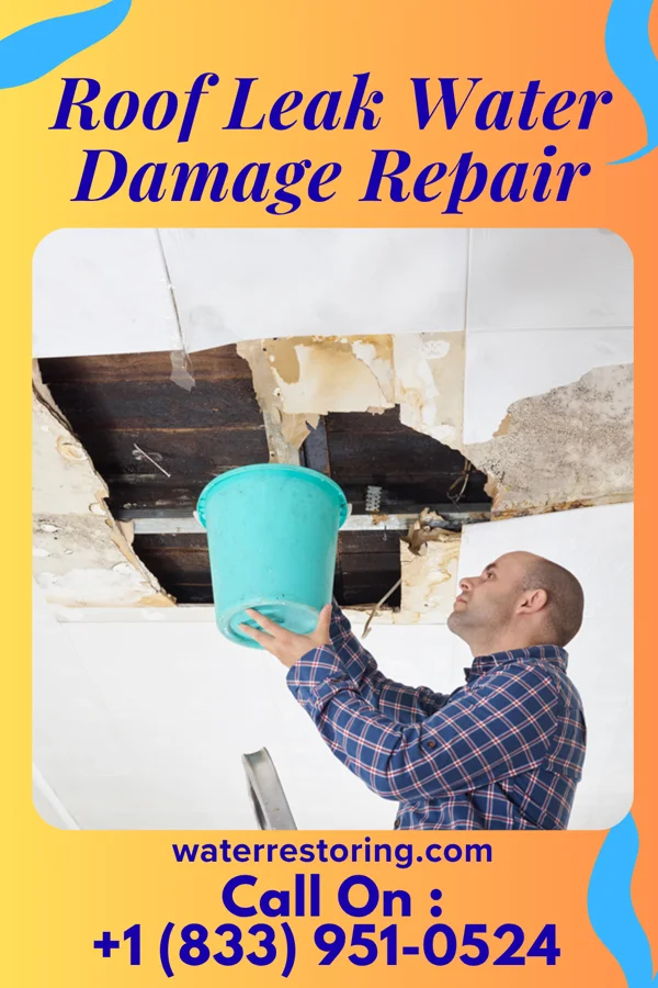 Roof Leak Water Damage Repair in Eudora, KS