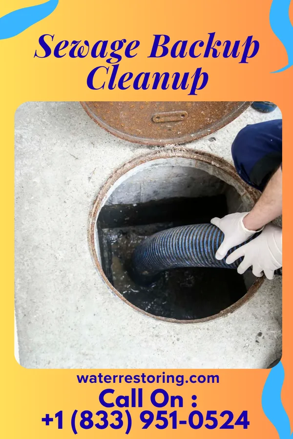 Sewage Backup Cleanup in Eudora, KS