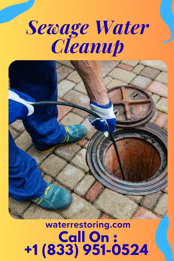 Sewage Water Cleanup in Eudora, KS